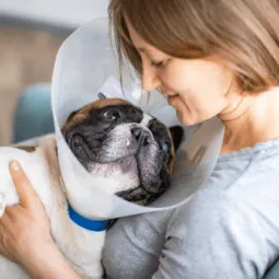 AquaPaws Canine Hydrotherapy