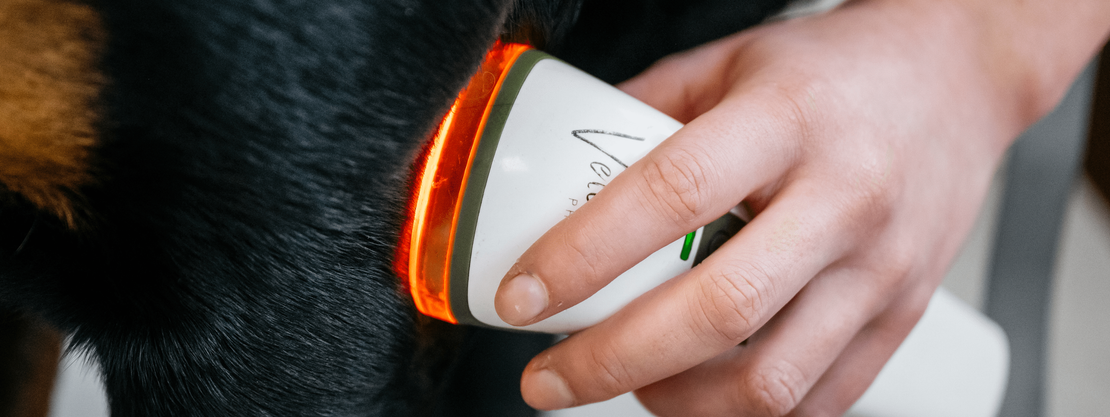 AquaPaws Canine Hydrotherapy